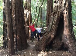 Portola Redwoods_7