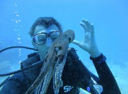 Скубадайвинг с Rainbow Scuba Hawaii