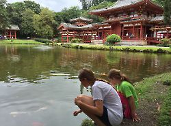 The Byodo-In Temple, рыбы и дети