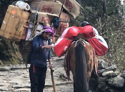 Nepal, 3 passes and Everest Base Camp (Непал, Три перевала и Базовый лагерь Эвереста) 2019_182