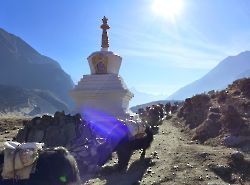 Nepal, 3 passes and Everest Base Camp (Непал, Три перевала и Базовый лагерь Эвереста) 2019_53