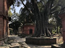 Kathmandu (Катманду) 2019_17