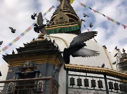 Kathmandu (Катманду) 2019_40