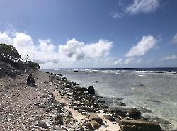 Таити и Атоллы Архипелага Туамоту. Рангироа, берег океана.