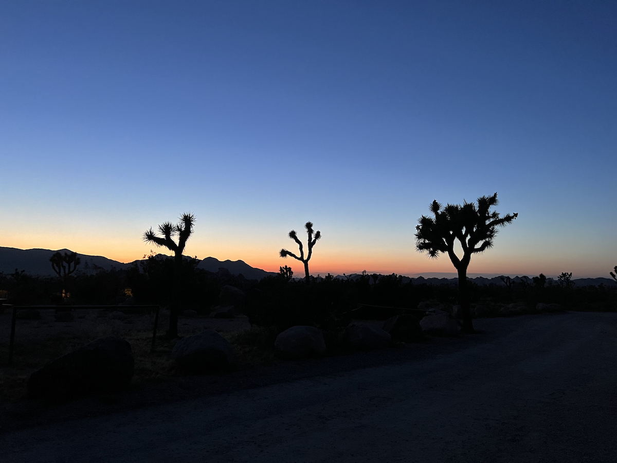 Joshua Tree National park. 