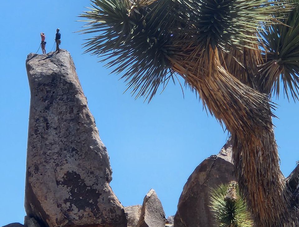 Национальный парк Joshua Tree