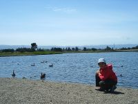 Shoreline at Mountain View Park